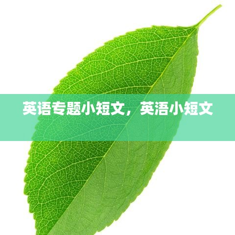 英語(yǔ)專(zhuān)題小短文，英浯小短文 