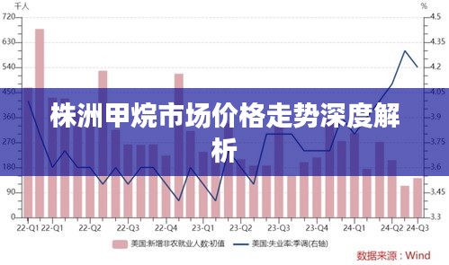 株洲甲烷市場(chǎng)價(jià)格走勢(shì)深度解析