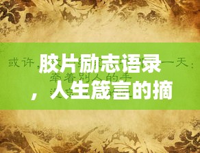 膠片勵志語錄，人生箴言的摘抄與啟示