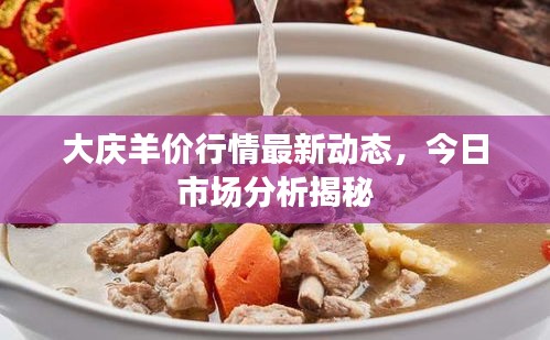 大慶羊價(jià)行情最新動(dòng)態(tài)，今日市場(chǎng)分析揭秘