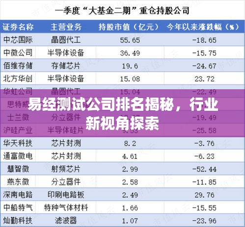 易經(jīng)測試公司排名揭秘，行業(yè)新視角探索