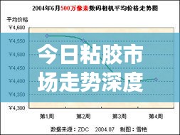 今日粘膠市場走勢深度解析，最新行情報告