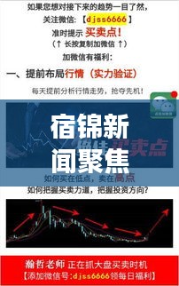 宿錦新聞聚焦時事熱點，解讀地方發(fā)展新動態(tài)