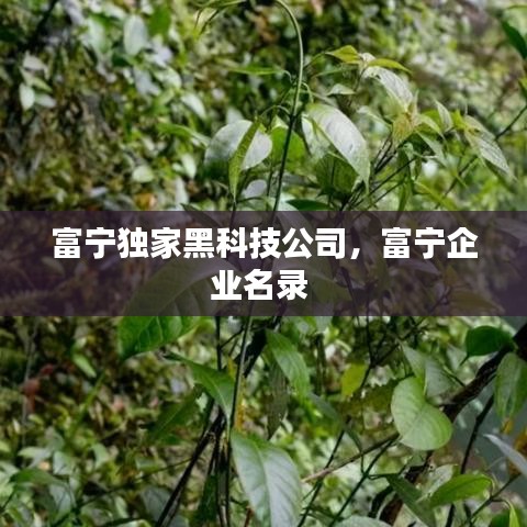 富寧獨(dú)家黑科技公司，富寧企業(yè)名錄 