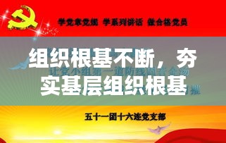 組織根基不斷，夯實基層組織根基 