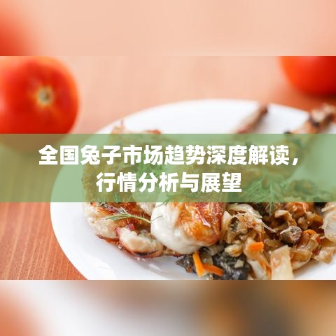 全國(guó)兔子市場(chǎng)趨勢(shì)深度解讀，行情分析與展望