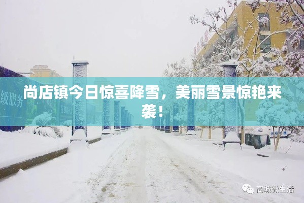 尚店鎮(zhèn)今日驚喜降雪，美麗雪景驚艷來襲！