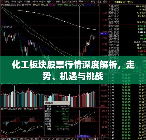 化工板塊股票行情深度解析，走勢(shì)、機(jī)遇與挑戰(zhàn)