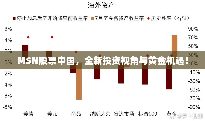 MSN股票中國(guó)，全新投資視角與黃金機(jī)遇！