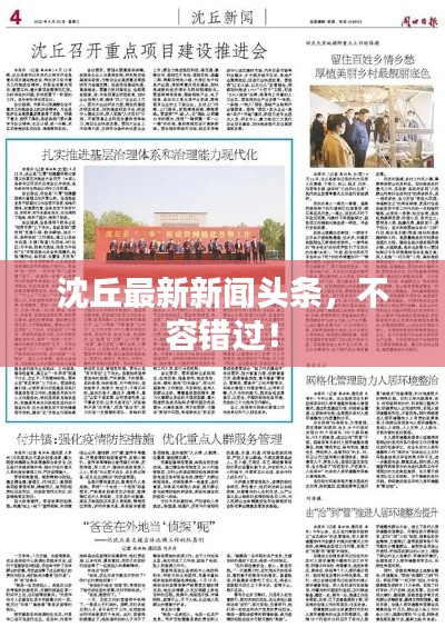 沈丘最新新聞頭條，不容錯過！