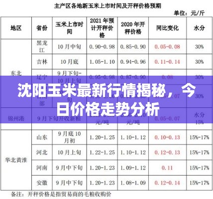 沈陽(yáng)玉米最新行情揭秘，今日價(jià)格走勢(shì)分析