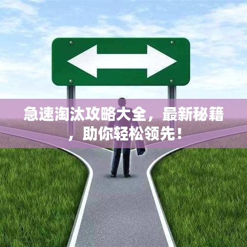 急速淘汰攻略大全，最新秘籍，助你輕松領先！