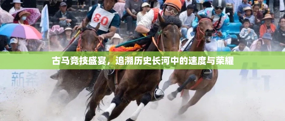 古馬競技盛宴，追溯歷史長河中的速度與榮耀