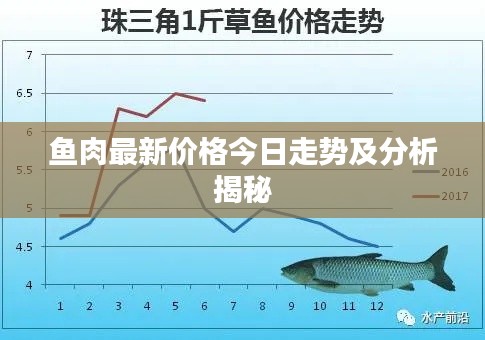 魚(yú)肉最新價(jià)格今日走勢(shì)及分析揭秘