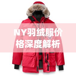 NY羽絨服價格深度解析，了解真實價格，選購更明智！