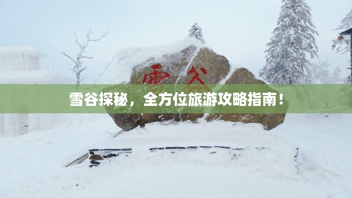 雪谷探秘，全方位旅游攻略指南！