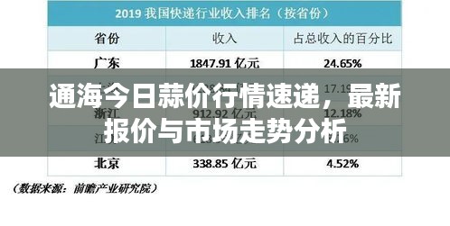 通海今日蒜價行情速遞，最新報價與市場走勢分析