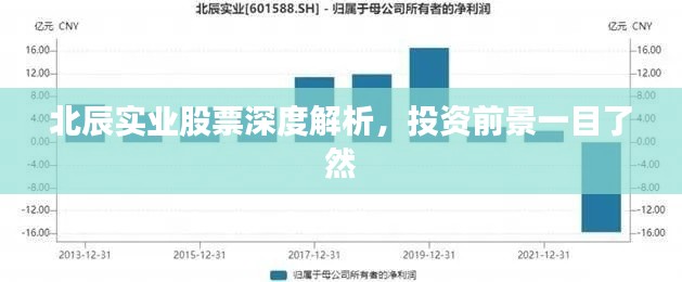 北辰實(shí)業(yè)股票深度解析，投資前景一目了然