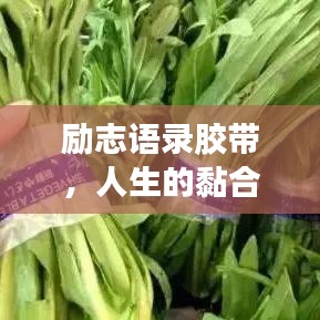 勵(lì)志語(yǔ)錄膠帶，人生的黏合劑，引領(lǐng)你走向成功之路