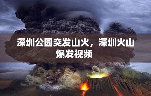 深圳公園突發(fā)山火，深圳火山爆發(fā)視頻 