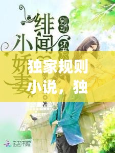 獨家規(guī)則小說，獨家jiyi 