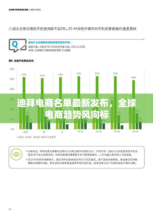 迪拜電商名單最新發(fā)布，全球電商趨勢(shì)風(fēng)向標(biāo)