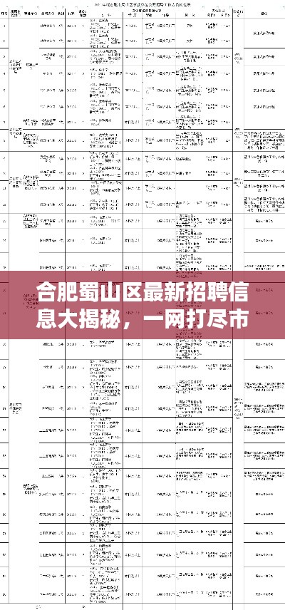 合肥蜀山區(qū)最新招聘信息大揭秘，一網(wǎng)打盡市區(qū)各大企業(yè)職位空缺