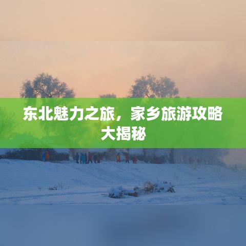 東北魅力之旅，家鄉(xiāng)旅游攻略大揭秘