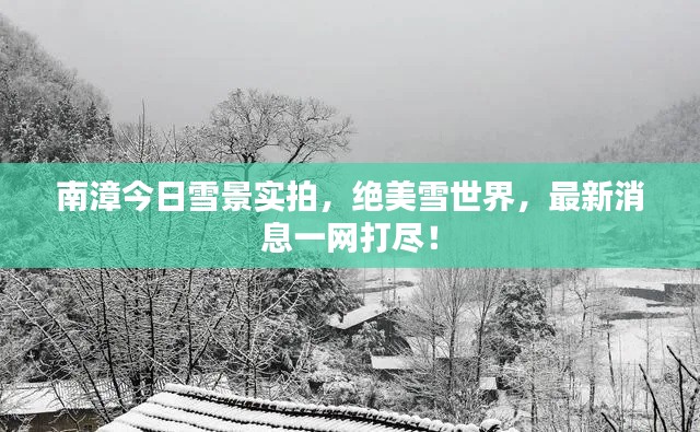 南漳今日雪景實拍，絕美雪世界，最新消息一網打盡！