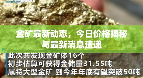 金礦最新動態(tài)，今日價格揭秘與最新消息速遞