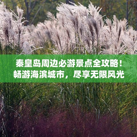 秦皇島周邊必游景點全攻略！暢游海濱城市，盡享無限風(fēng)光