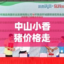 中山小香豬價(jià)格走勢(shì)大揭秘，最新行情分析！