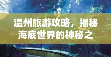 溫州旅游攻略，揭秘海底世界的神秘之旅