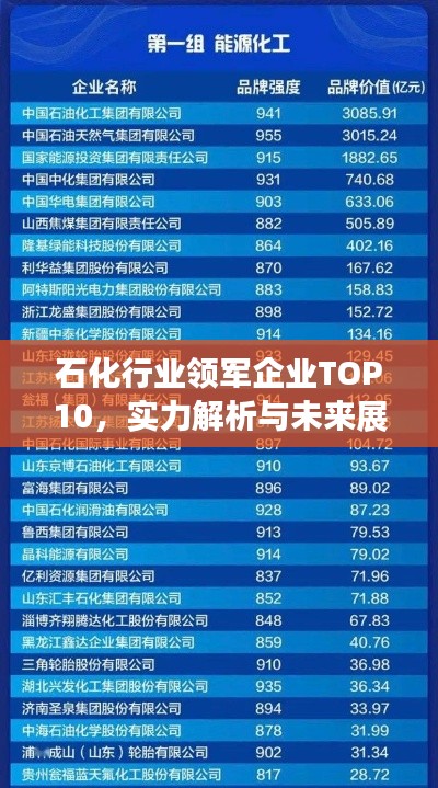 石化行業(yè)領(lǐng)軍企業(yè)TOP10，實力解析與未來展望