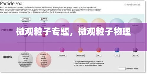 微觀粒子專題，微觀粒子物理 