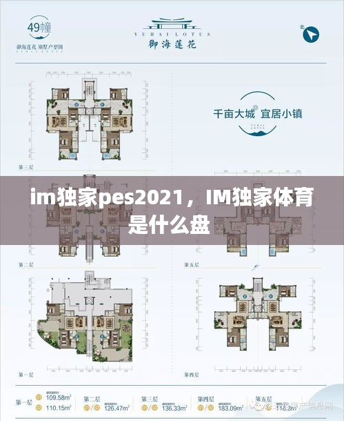 im獨家pes2021，IM獨家體育是什么盤 