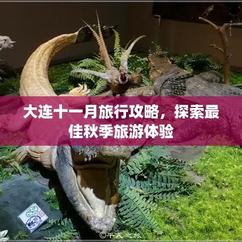 大連十一月旅行攻略，探索最佳秋季旅游體驗(yàn)