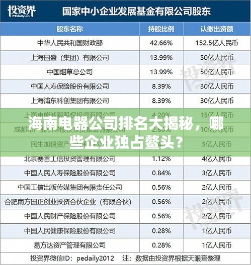 海南電器公司排名大揭秘，哪些企業(yè)獨(dú)占鰲頭？