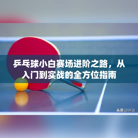 乒乓球小白賽場進階之路，從入門到實戰(zhàn)的全方位指南