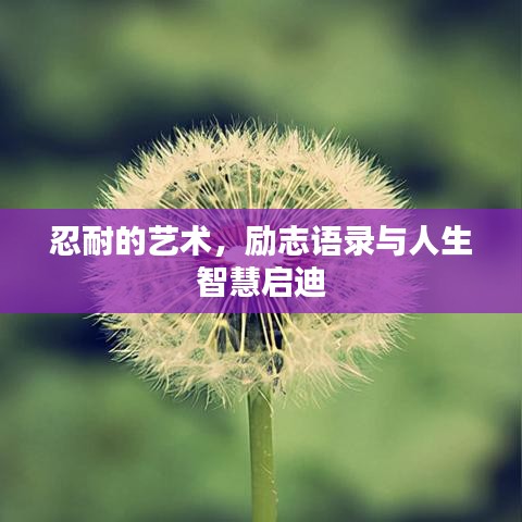 忍耐的藝術(shù)，勵志語錄與人生智慧啟迪