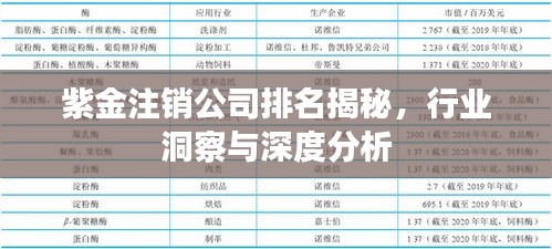 紫金注銷公司排名揭秘，行業(yè)洞察與深度分析