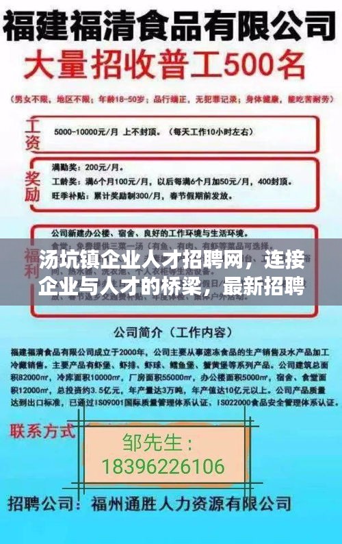 湯坑鎮(zhèn)企業(yè)人才招聘網，連接企業(yè)與人才的橋梁，最新招聘信息一網打盡！