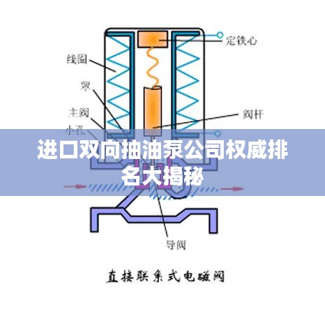 進口雙向抽油泵公司權(quán)威排名大揭秘