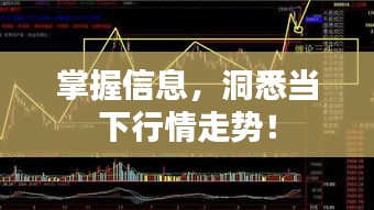 掌握信息，洞悉當下行情走勢！