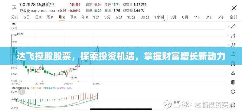 達(dá)飛控股股票，探索投資機(jī)遇，掌握財(cái)富增長(zhǎng)新動(dòng)力