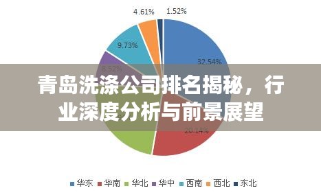 青島洗滌公司排名揭秘，行業(yè)深度分析與前景展望