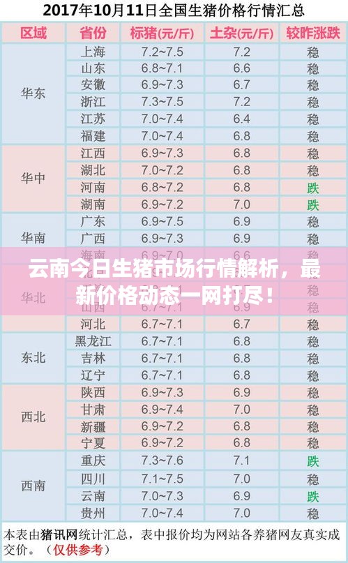 云南今日生豬市場行情解析，最新價格動態(tài)一網(wǎng)打盡！