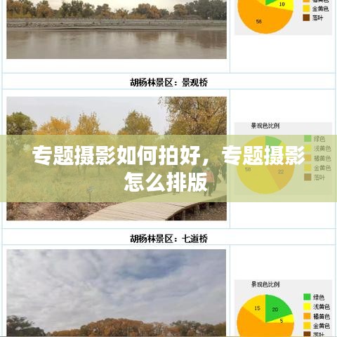 專題攝影如何拍好，專題攝影怎么排版 