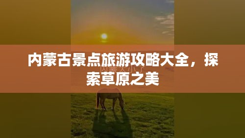 內(nèi)蒙古景點旅游攻略大全，探索草原之美