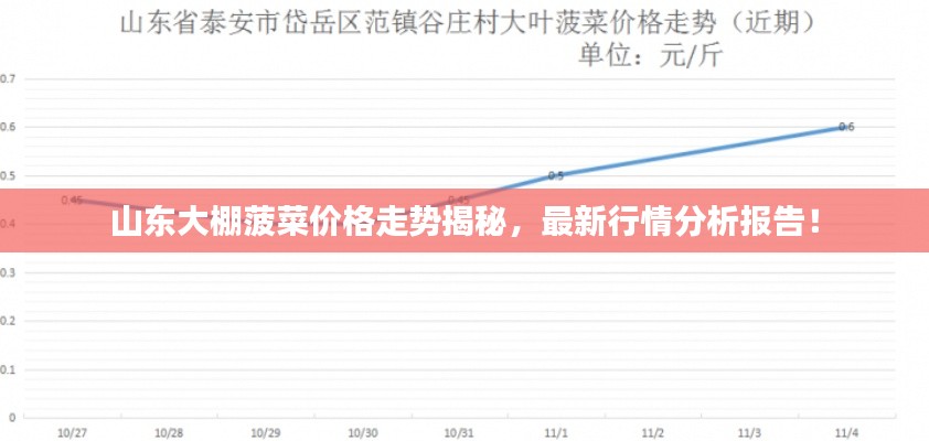 山東大棚菠菜價格走勢揭秘，最新行情分析報告！